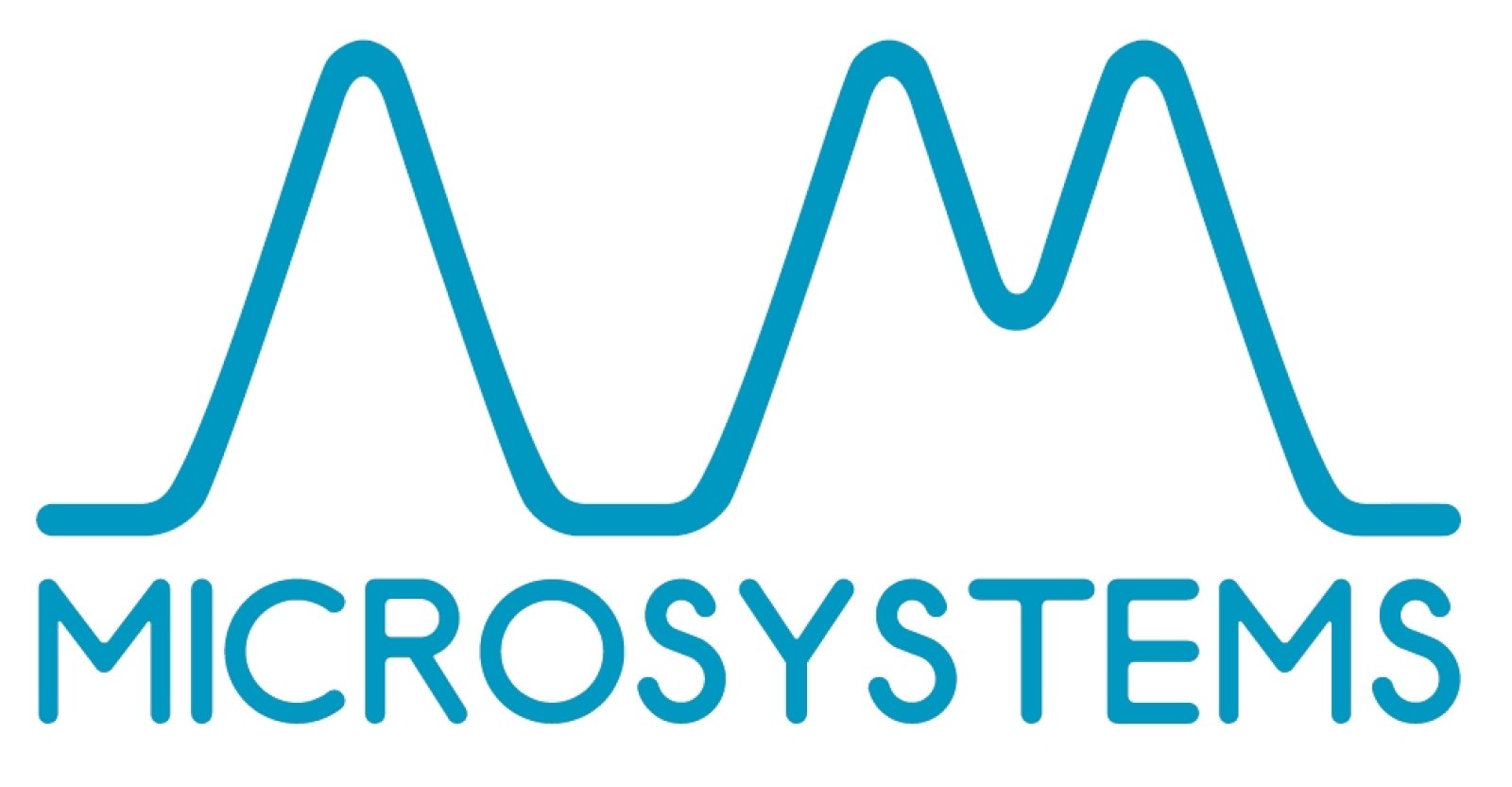 Logo AM Microsystems SRL