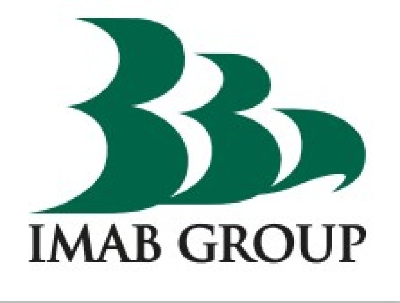 Logo IMAB GROUP SPA