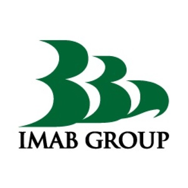 Logo IMAB GROUP S.P.A.